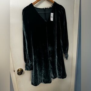 Velveteen dress gorgeous for fall